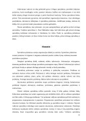 Sprendimų parengimas, priėmimo ir jų įgyvendinimo procesai (teorija ir praktika) 15 puslapis