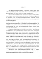 Sprendimų parengimas, priėmimo ir jų įgyvendinimo procesai (teorija ir praktika) 3 puslapis