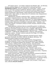 JAV ekonomika ir geografija 4 puslapis