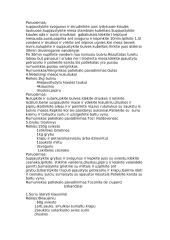 Rumunų pagrindiniai patiekalai 2 puslapis