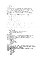 Rumunų pagrindiniai patiekalai 3 puslapis