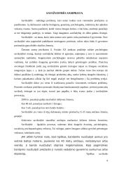 Savižudybė ir prevencija 3 puslapis