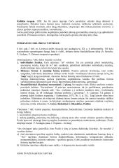 Oficialioji Lietuvos dailė: Tapyba 1956-1980 metais 3 puslapis