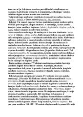 Inkstai ir šlapimo susidarymas 3 puslapis