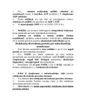 Oksidacinio fosforilinimo veiksmingumas 6 puslapis