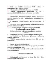 Oksidacinio fosforilinimo veiksmingumas 8 puslapis