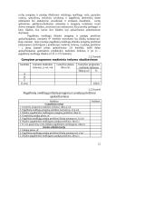 Įmonės veiklos  planavimas 19 puslapis