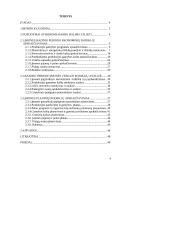 Įmonės veiklos  planavimas 2 puslapis