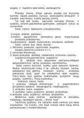 Individualios įmonės “Šernė” verslo planas 5 puslapis