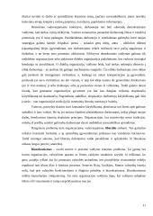 Vadovavimo problemos firmoje 10 puslapis