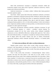 Vadovavimo problemos firmoje 11 puslapis