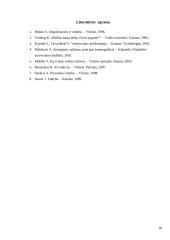 Vadovavimo problemos firmoje 17 puslapis