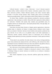 Vadovavimo problemos firmoje 2 puslapis