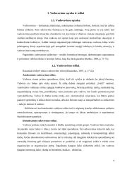 Vadovavimo problemos firmoje 3 puslapis