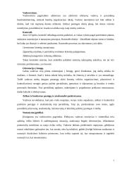 Vadovavimo problemos firmoje 6 puslapis