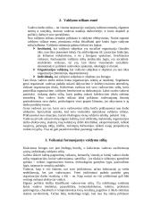 Valdymo stiliai ir jų esmė 2 puslapis