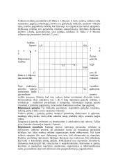 Valdymo stiliai ir jų esmė 12 puslapis