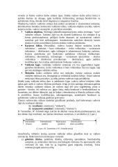 Valdymo stiliai ir jų esmė 3 puslapis