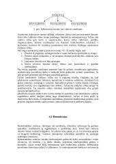 Valdymo stiliai ir jų esmė 7 puslapis