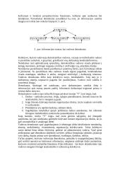 Valdymo stiliai ir jų esmė 8 puslapis