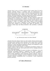 Valdymo stiliai ir jų esmė 9 puslapis