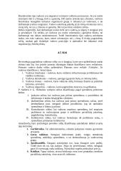 Valdymo stiliai ir jų esmė 10 puslapis