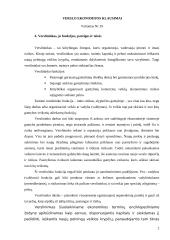 Verslininkas, jo funkcijos, pareigos ir teisės 2 puslapis