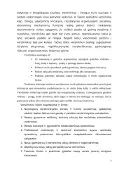 Verslininkas, jo funkcijos, pareigos ir teisės 3 puslapis