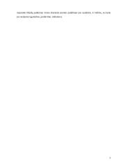 Verslininkas, jo funkcijos, pareigos ir teisės 5 puslapis