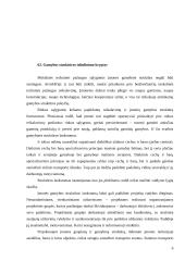 Verslininkas, jo funkcijos, pareigos ir teisės 6 puslapis