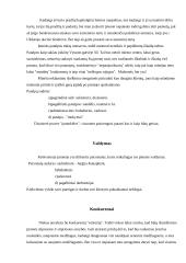 Rinka ir pardavimai 4 puslapis