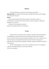 Rinka ir pardavimai 6 puslapis