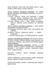 Organizmas ir aplinka 11 puslapis