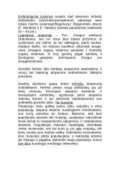 Organizmas ir aplinka 14 puslapis