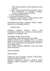 Organizmas ir aplinka 5 puslapis