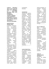 Pagrindinių 15 autorių interpretacijų įžangos