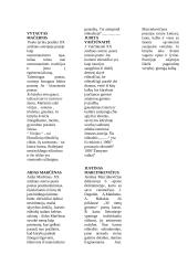 Pagrindinių 15 autorių interpretacijų įžangos 3 puslapis