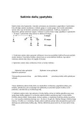 Sakinio dalys 4 puslapis