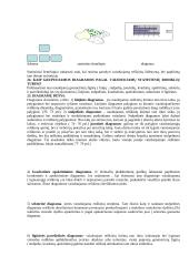 Statistikos pagrindinės sąvokos 5 puslapis