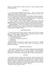 Stambių vientisų formų instrumentiniai žanrai 2 puslapis