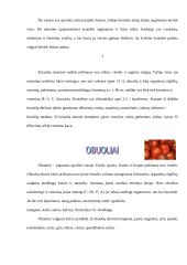 Vaisių asortimento parduotuvėje Rimi tyrimas 2 puslapis