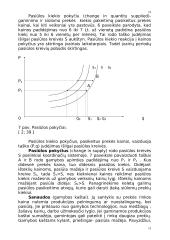 Paklausos ir pasiūlos  analizė ir jos pritaikymas 13 puslapis