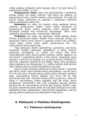 Paklausos ir pasiūlos  analizė ir jos pritaikymas 17 puslapis