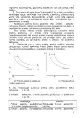 Paklausos ir pasiūlos  analizė ir jos pritaikymas 8 puslapis