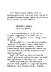 Egžotiškieji kambarių gyventojai 2 puslapis