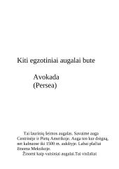 Egžotiškieji kambarių gyventojai 11 puslapis