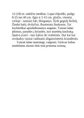 Egžotiškieji kambarių gyventojai 12 puslapis