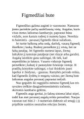 Egžotiškieji kambarių gyventojai 14 puslapis