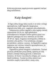 Egžotiškieji kambarių gyventojai 15 puslapis