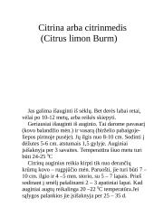 Egžotiškieji kambarių gyventojai 17 puslapis